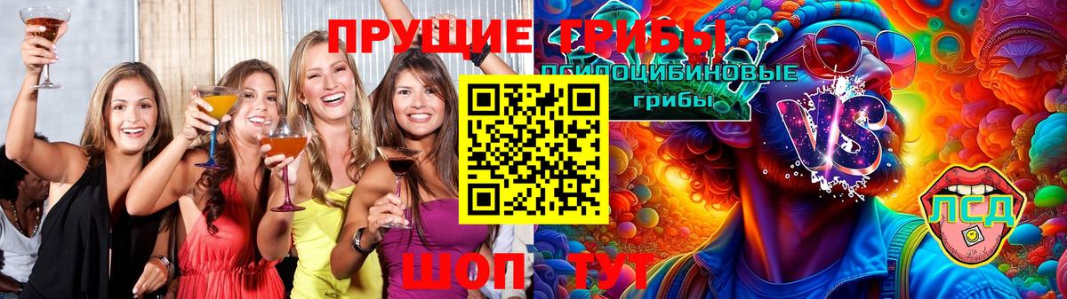 Галлюциногенные грибы Cubensis  Псилоцибиновые грибы Cubensis  Вход с VPN  Мыски 