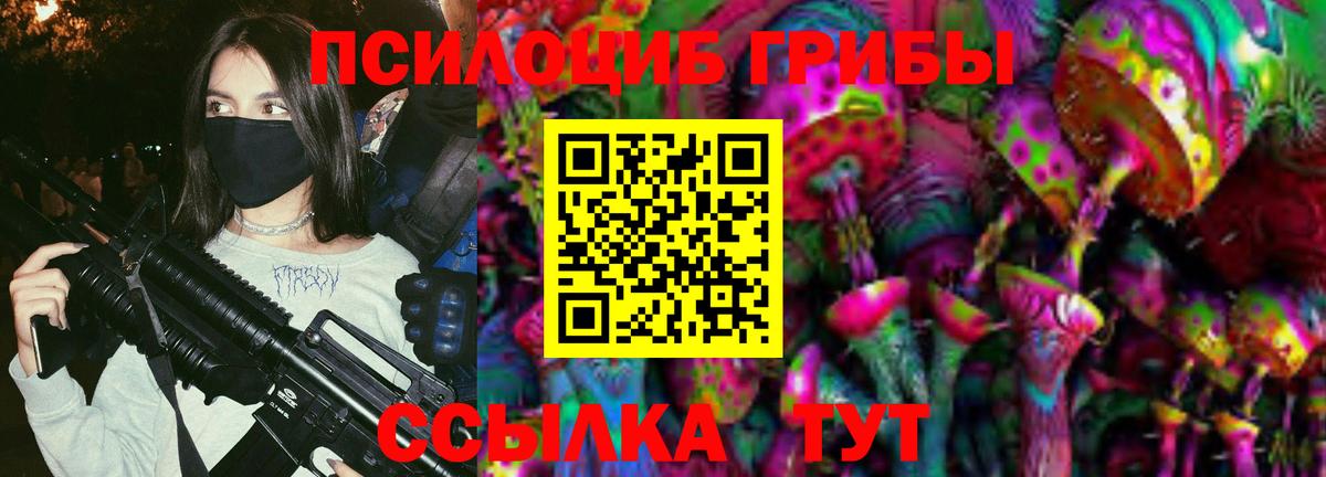 Псилоцибиновые грибы мухоморы Мыски